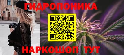 apvp Рузаевка